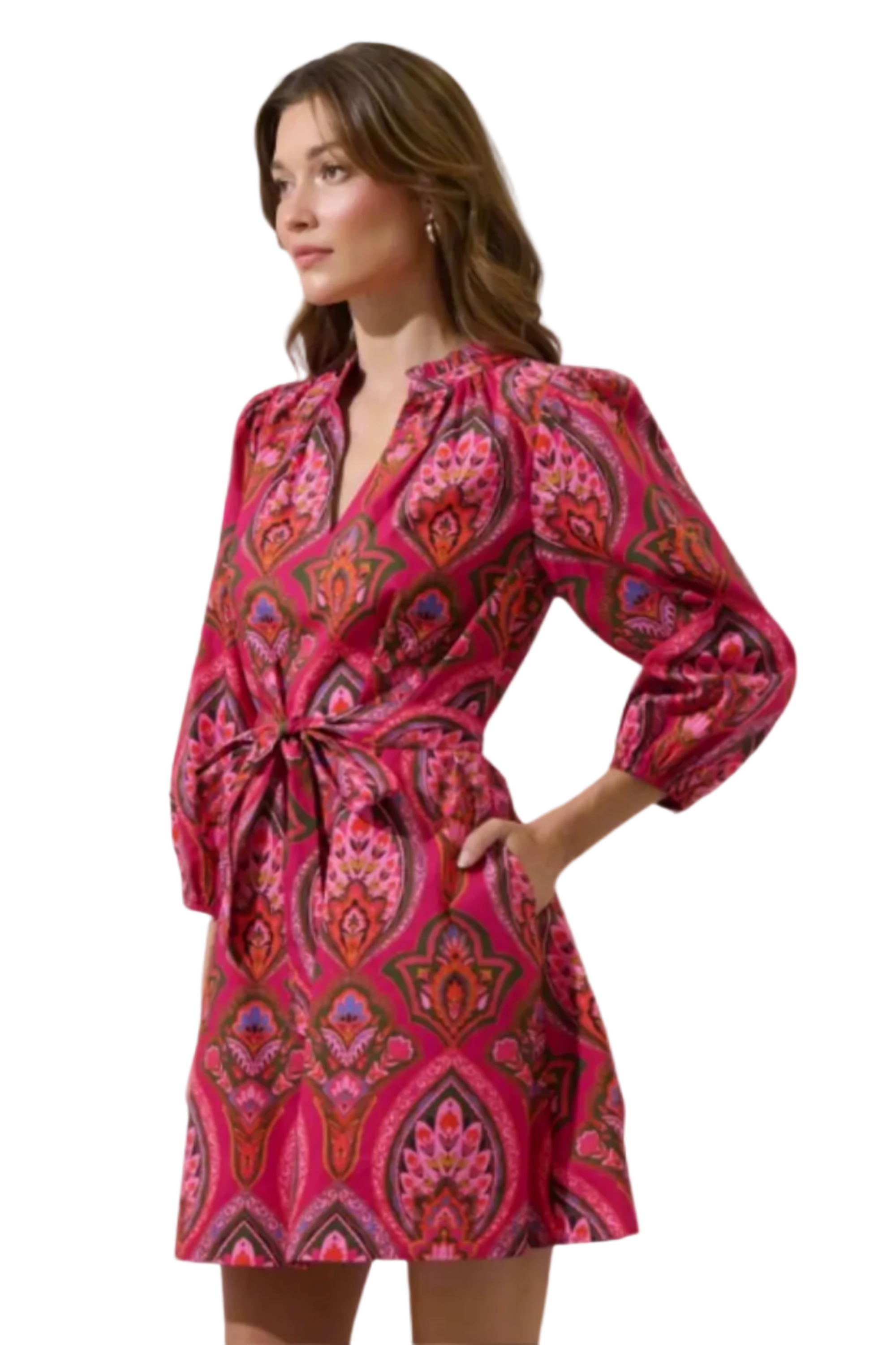 Berry Mulit-Colored Shift Casual Dress with Pockets | The Pocket Mouse