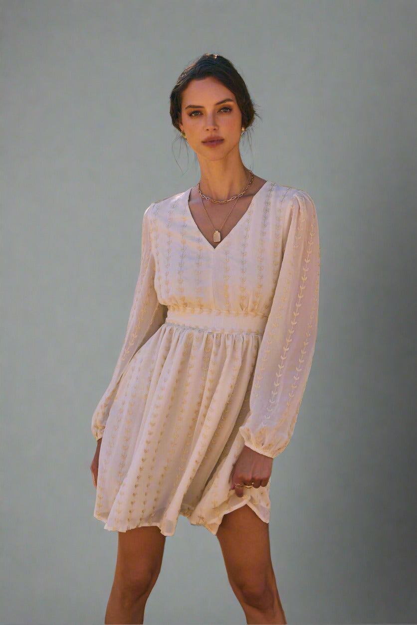 Cream and Gold Embroidered Chiffon Mini Dress With Pockets