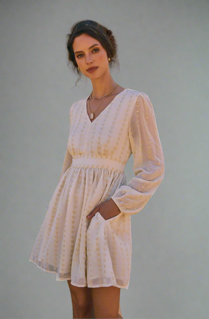 Cream and Gold Embroidered Chiffon Mini Dress With Pockets